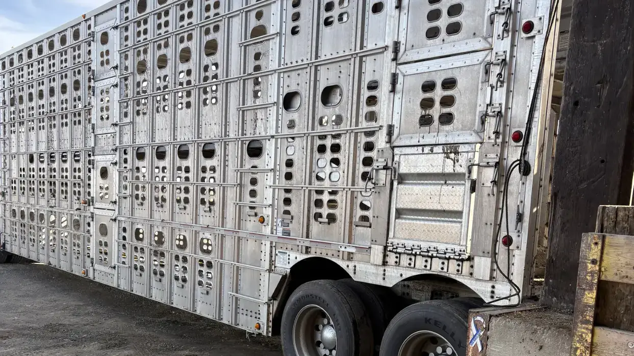 Livestock transportation