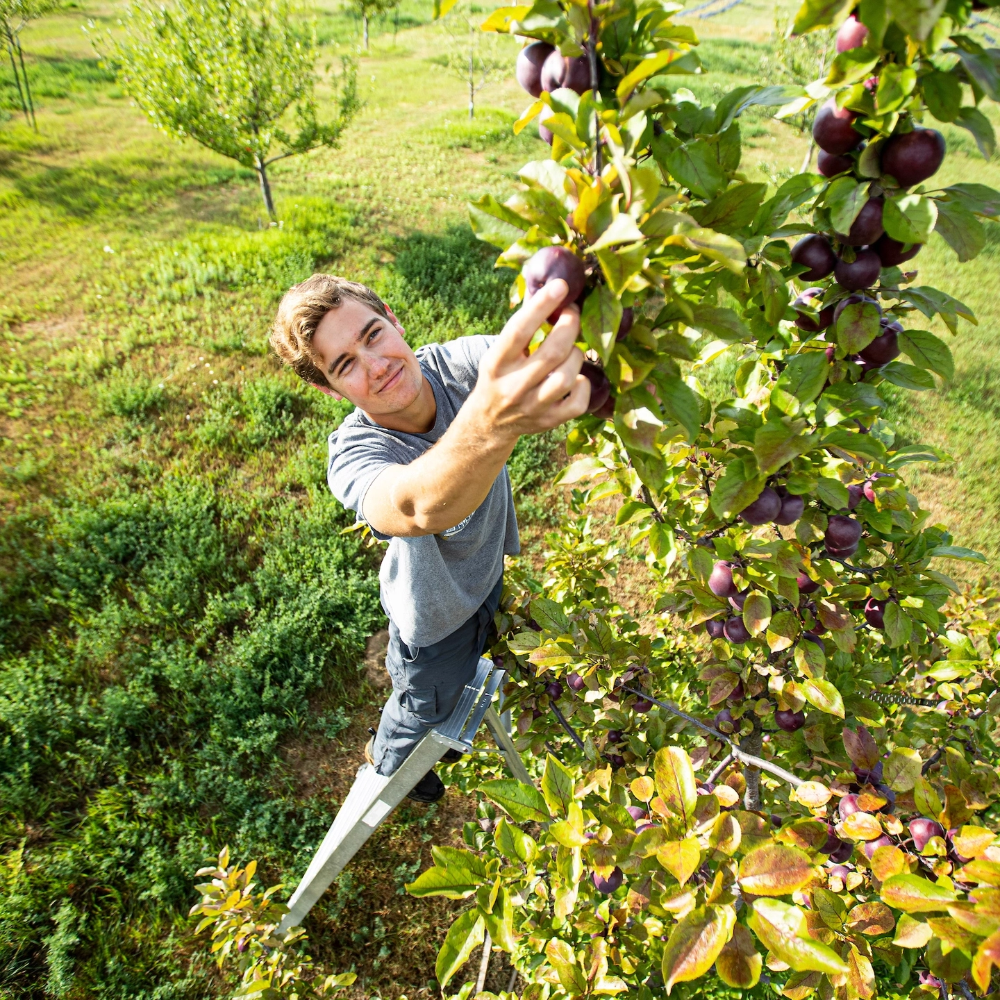 Sandpoint Organic Agriculture Center SOAC