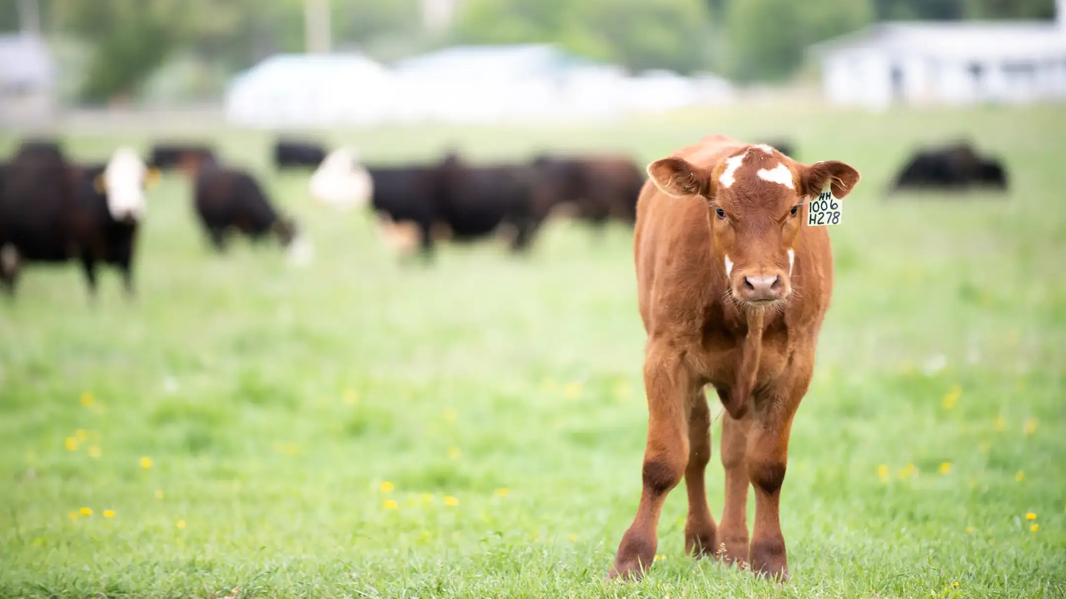 Univeristy Communications and Marketing Statewide tour 2020