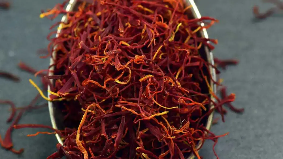 Landscapes and Gardens photos