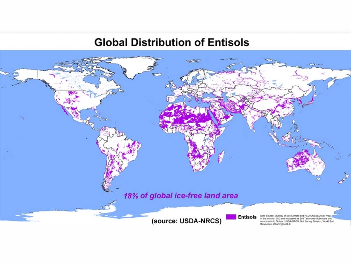 Global distribution of entisols