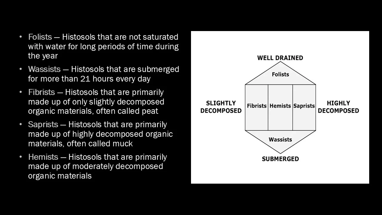 Diagram of histosols suborders