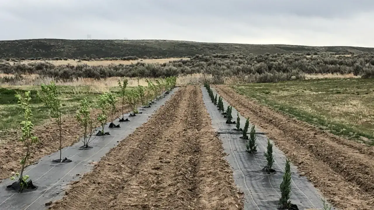 UI Extension program photos and files in counties