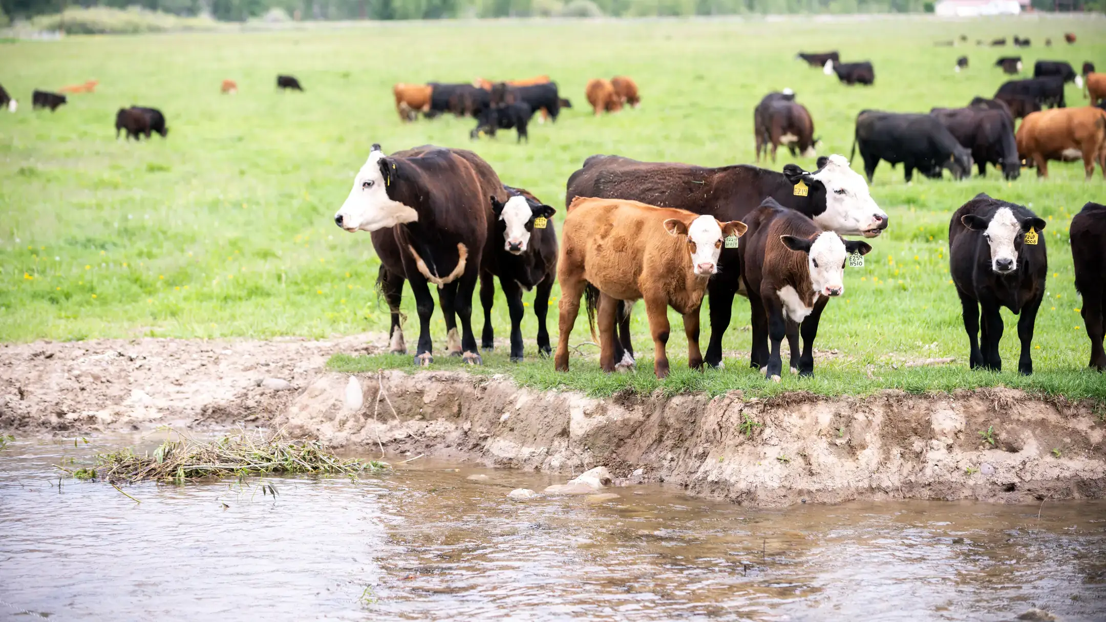 University Communications and Marketing Statewide tour 2020