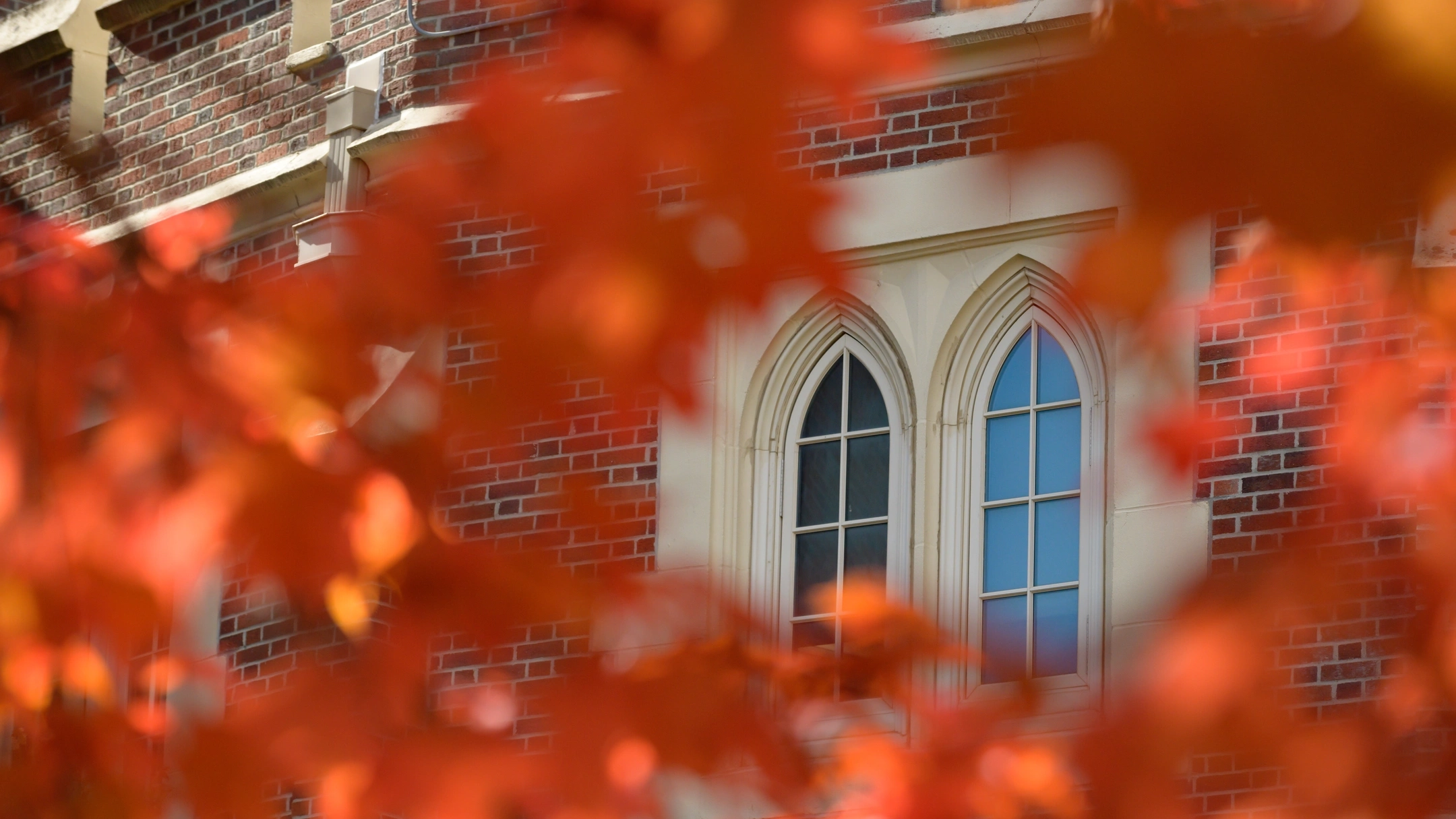 Unviersity of Idaho campus in the fall