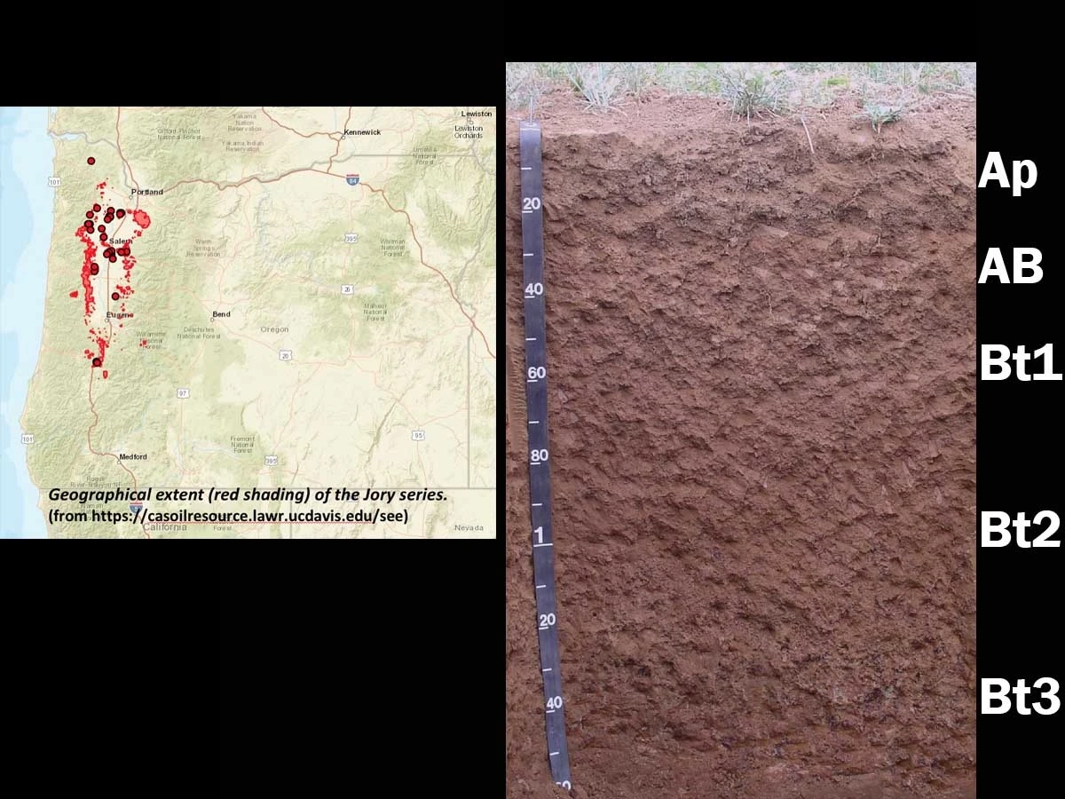 Xeric palhumult soil in Oregon