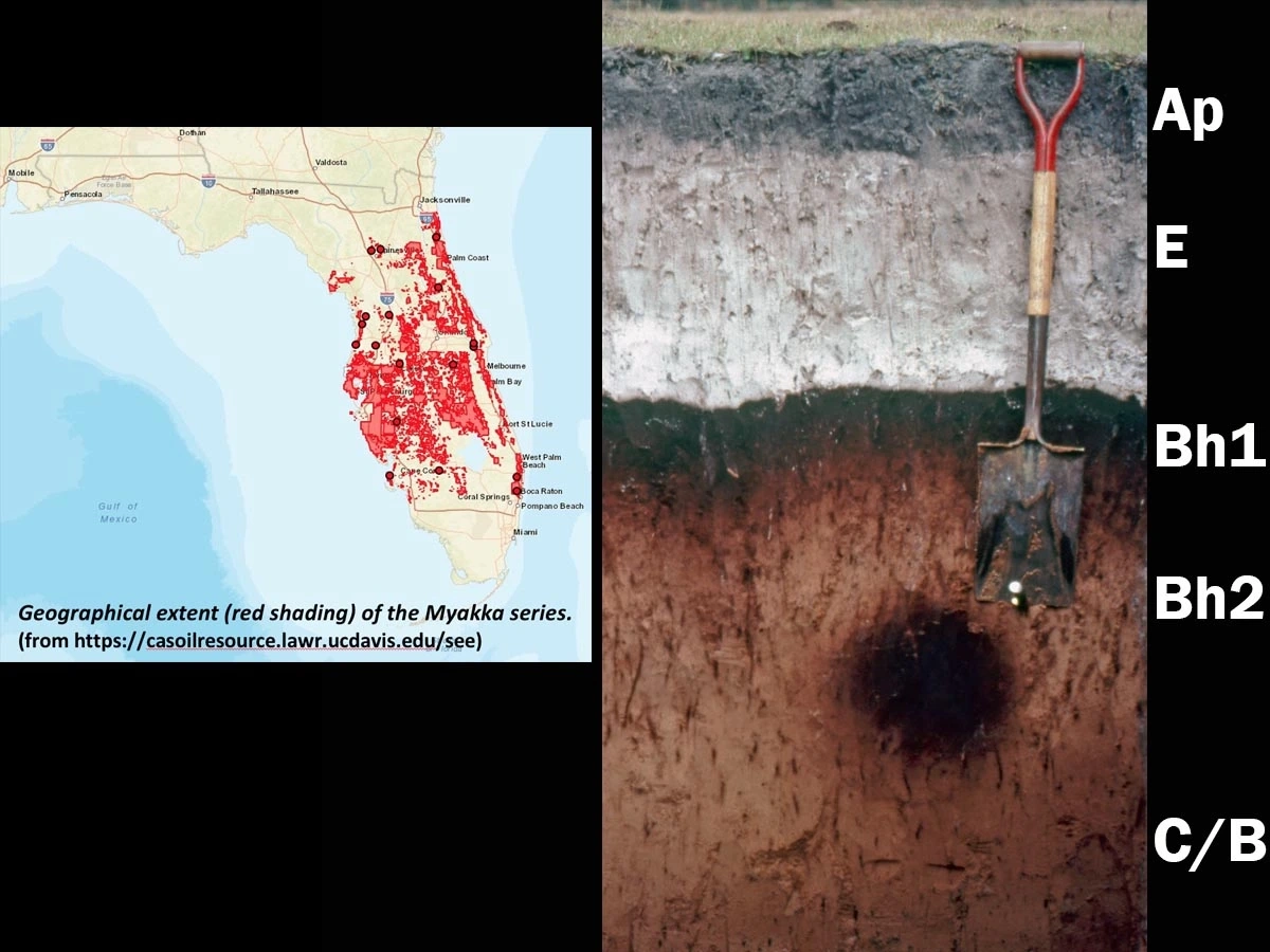 Aeric alaquod in Florida and map of where spodosols