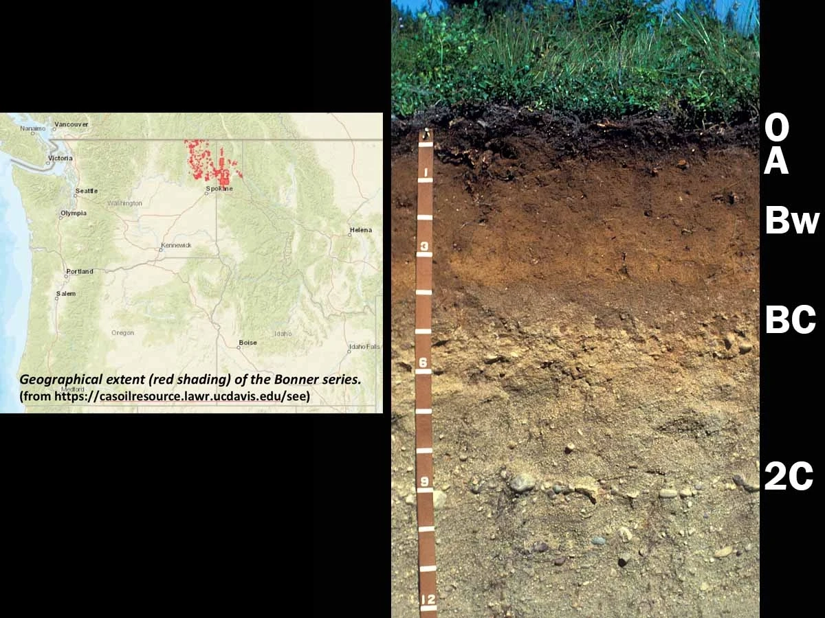 A map and photo of andisols that include a tap measure