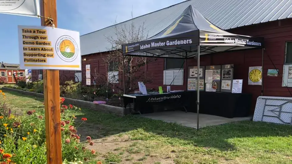 Horticulture and master gardeners at work