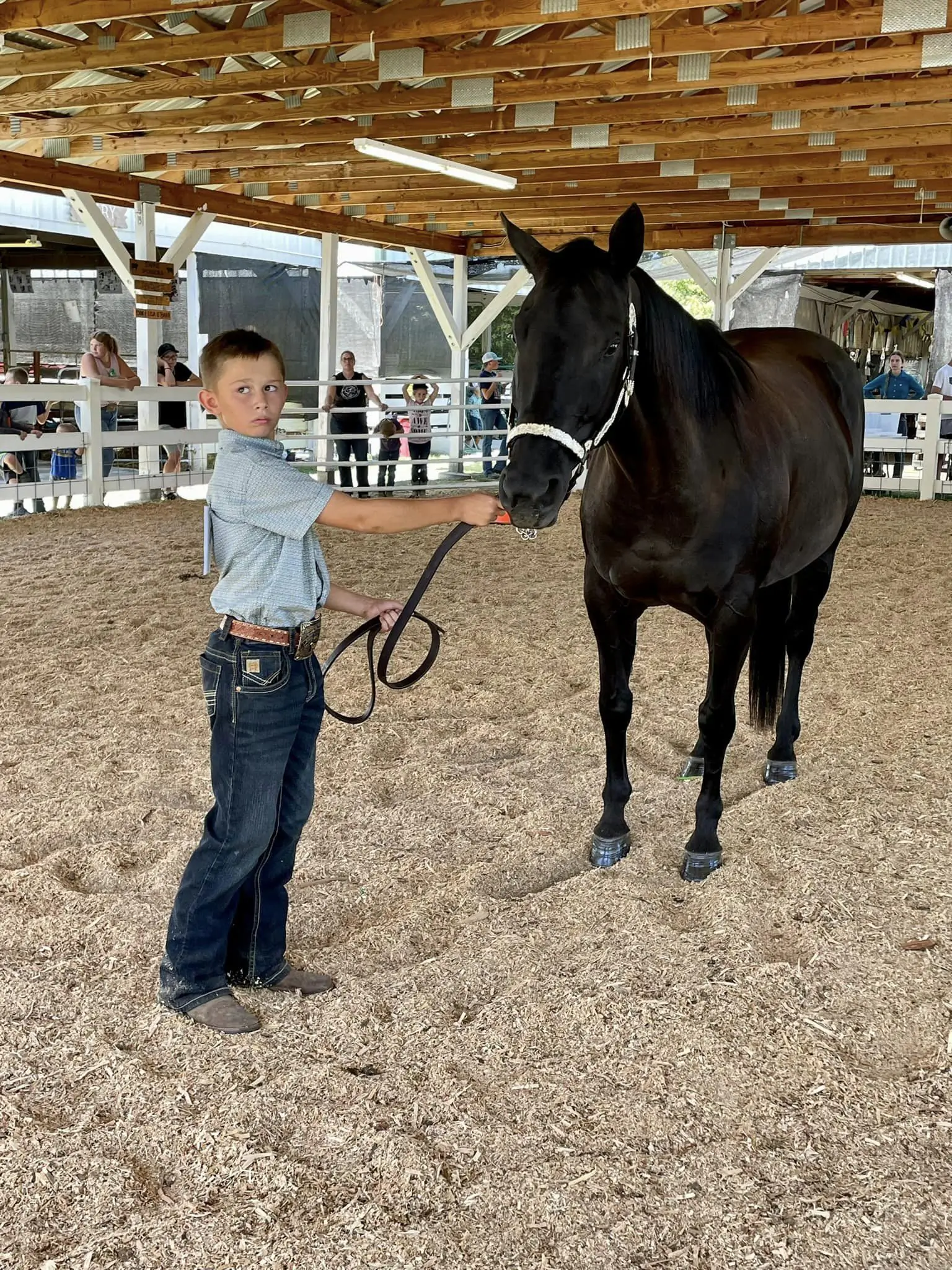 4-H photos and files located in counties
