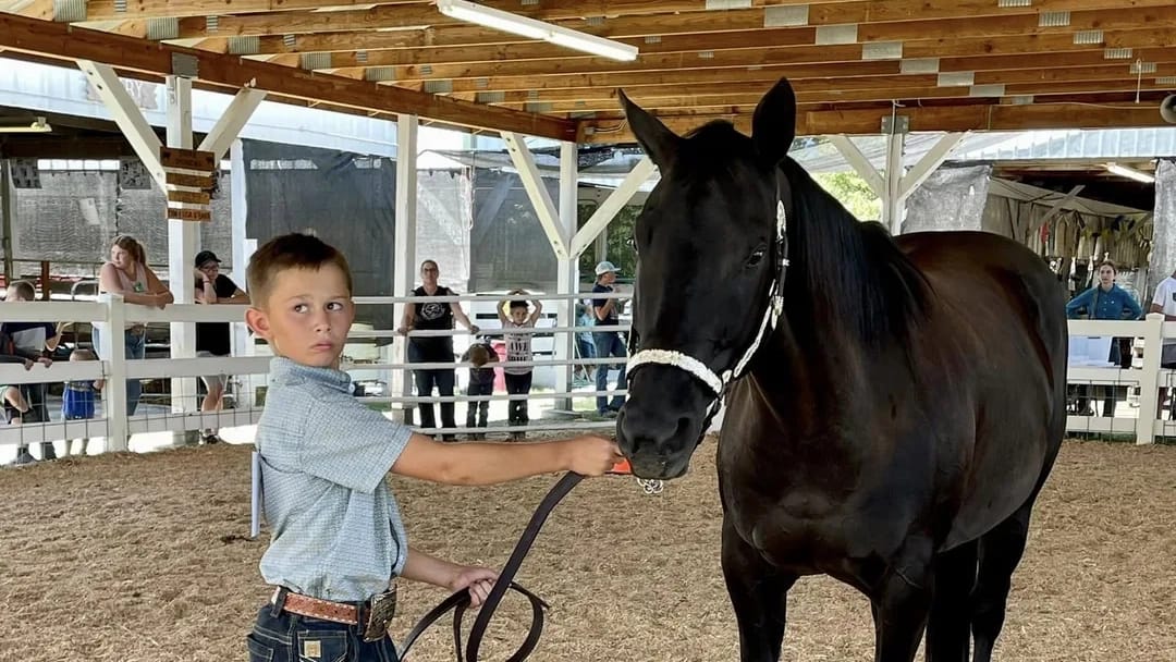 4-H photos and files located in counties