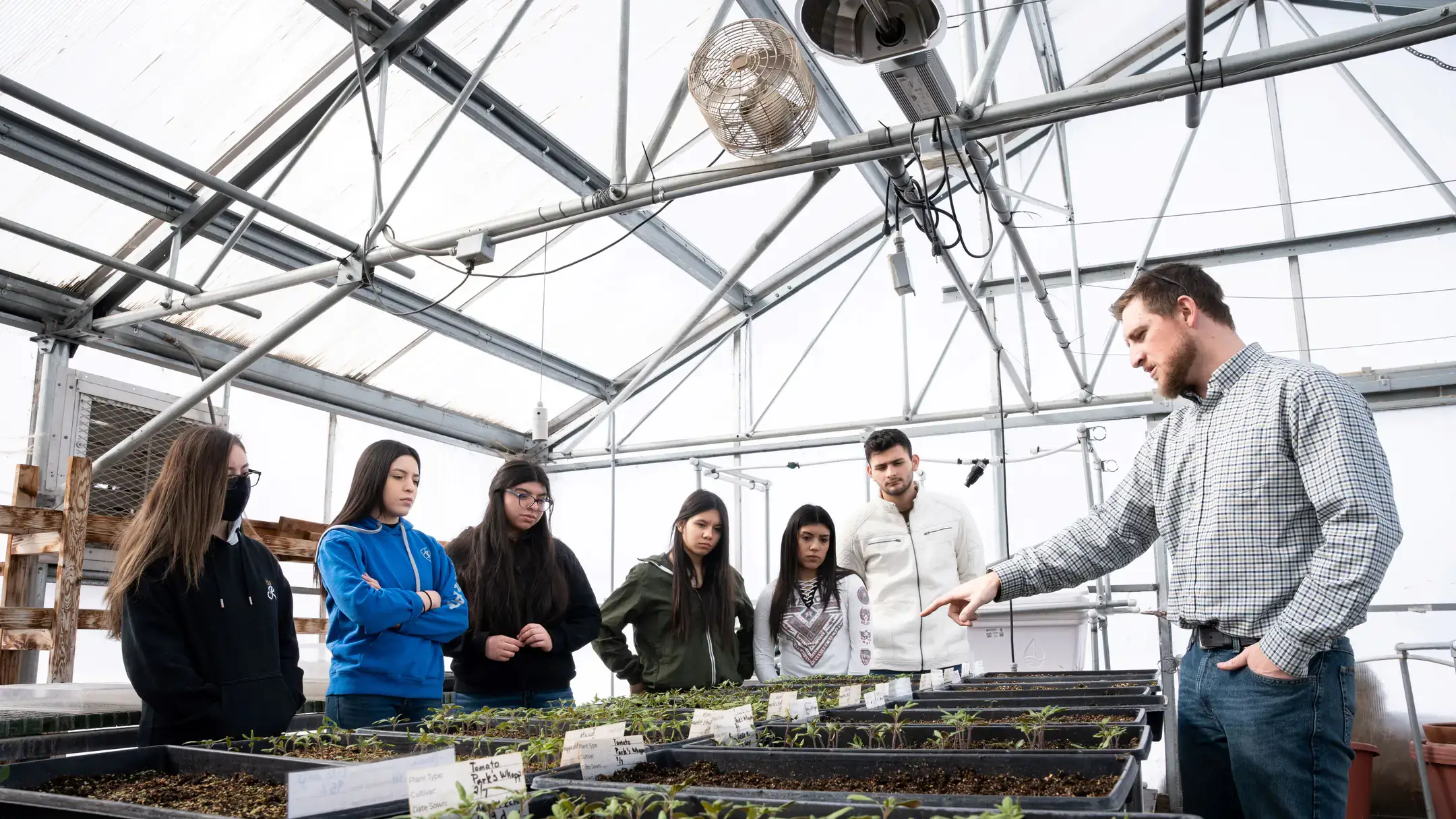 A man showing students plants in the greenhouse