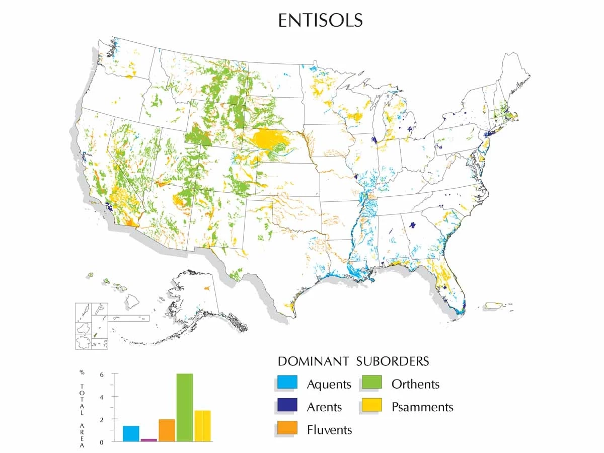 A map of the United States showing dominant suborders of entisols