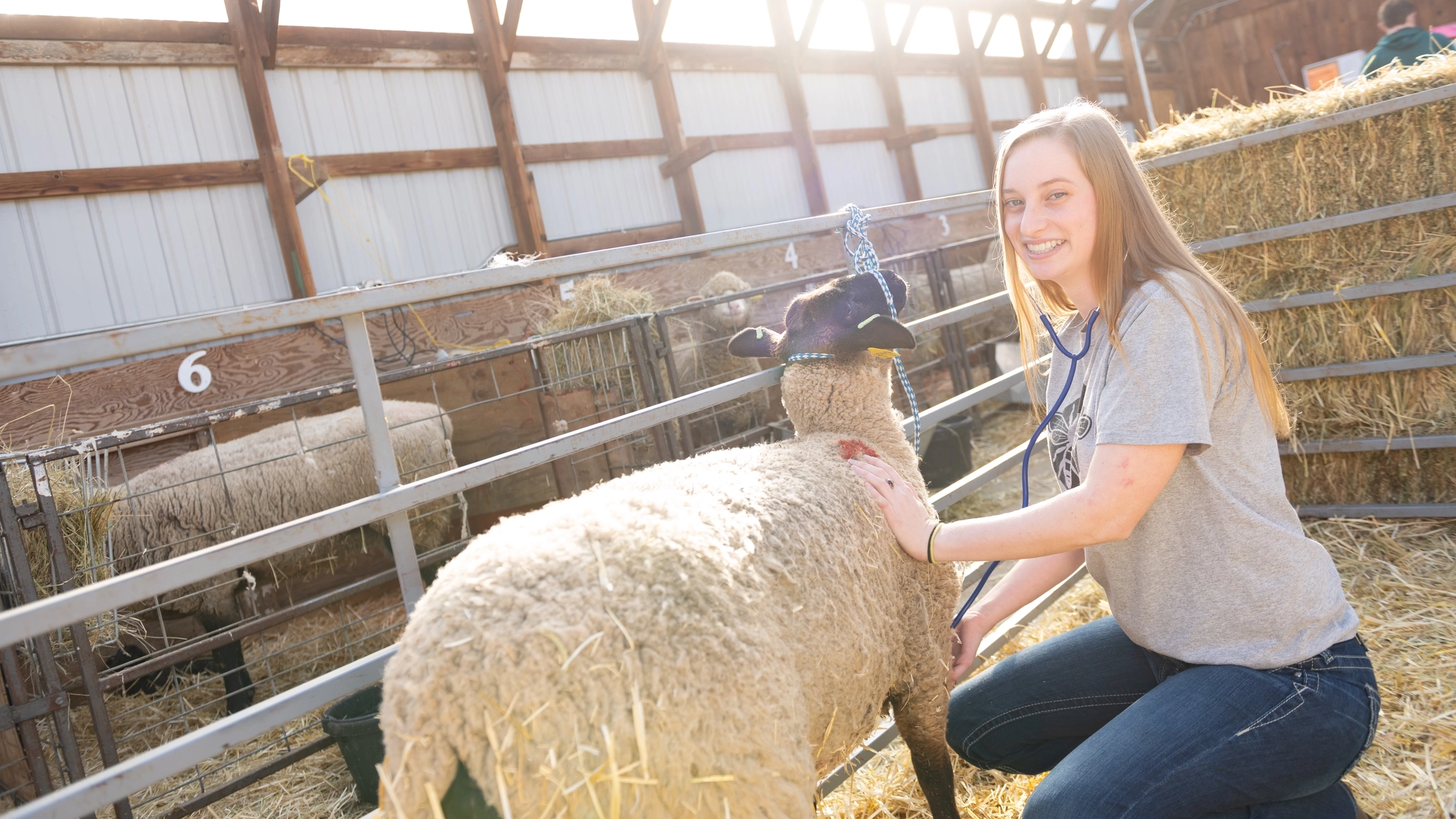 College of Agricultural and Life Sciences undergraduate research student feature