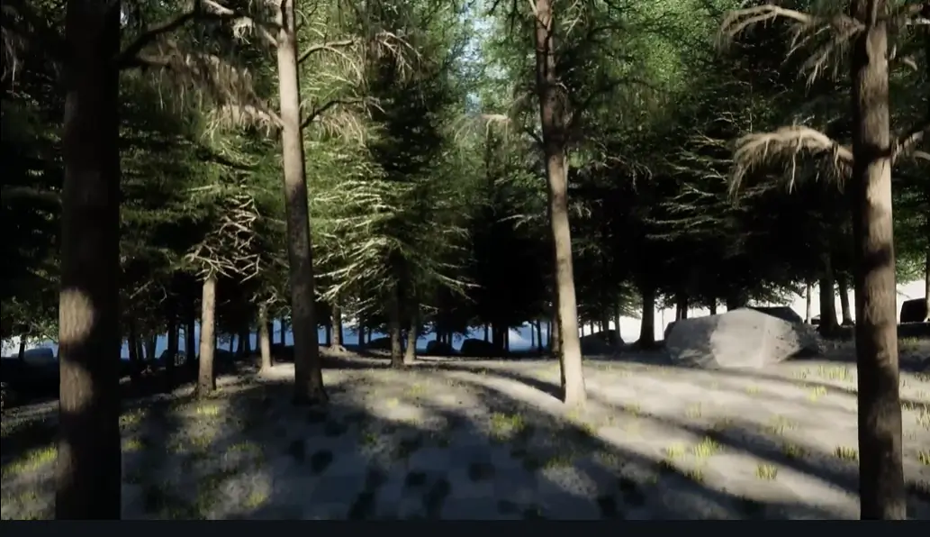 3D rendering of a forest for VR simulations