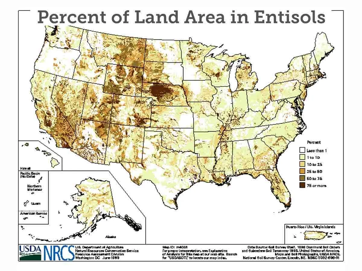 Percent of land area in entisols in the United States