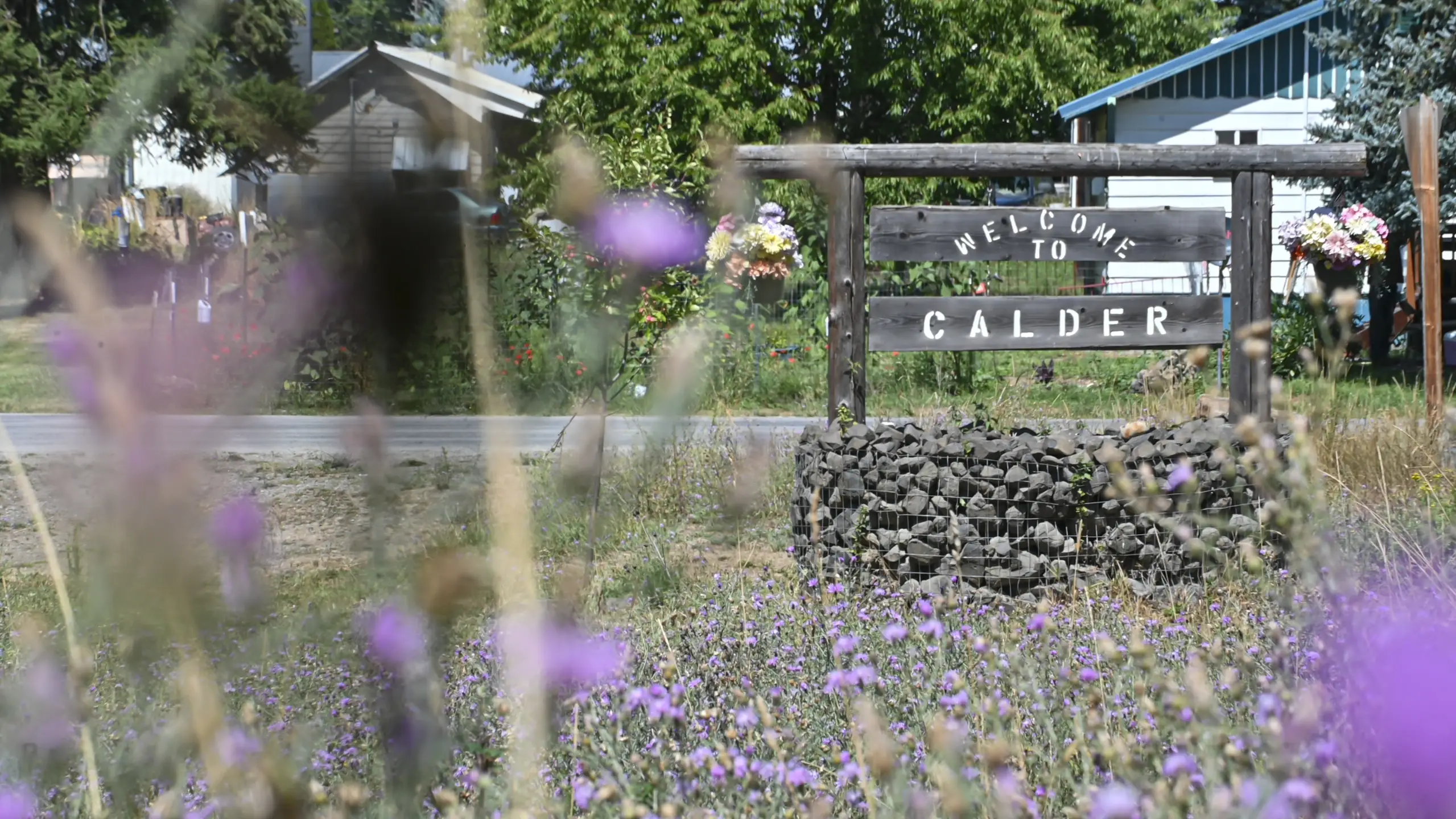 Students and faculty of the Calder School take part in an activity put on by the school and U of I's College of Natural Resources, including using CNR's logging simulator and learning from CNR faculty about forest industry careers. For UCM story about how U of I resources in Moscow, and the county Extension office in St. Maries, assists small, rural schools by bringing technology and lectures to them to aid their education. 