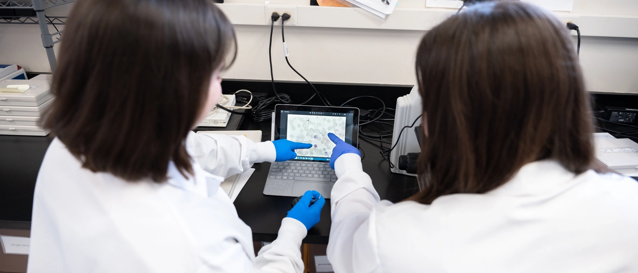 Three undergraduate students working with Professor Shirley Luckhart that have received 2022 University of Idaho USDA research scholarships to study how pathogens, in this case bacteria that cause malaria, can be blocked inside cells.