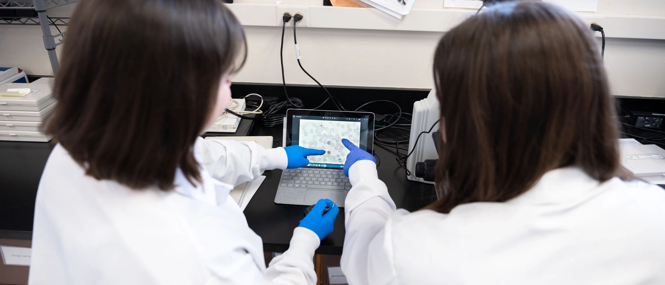 Three undergraduate students working with Professor Shirley Luckhart that have received 2022 University of Idaho USDA research scholarships to study how pathogens, in this case bacteria that cause malaria, can be blocked inside cells.