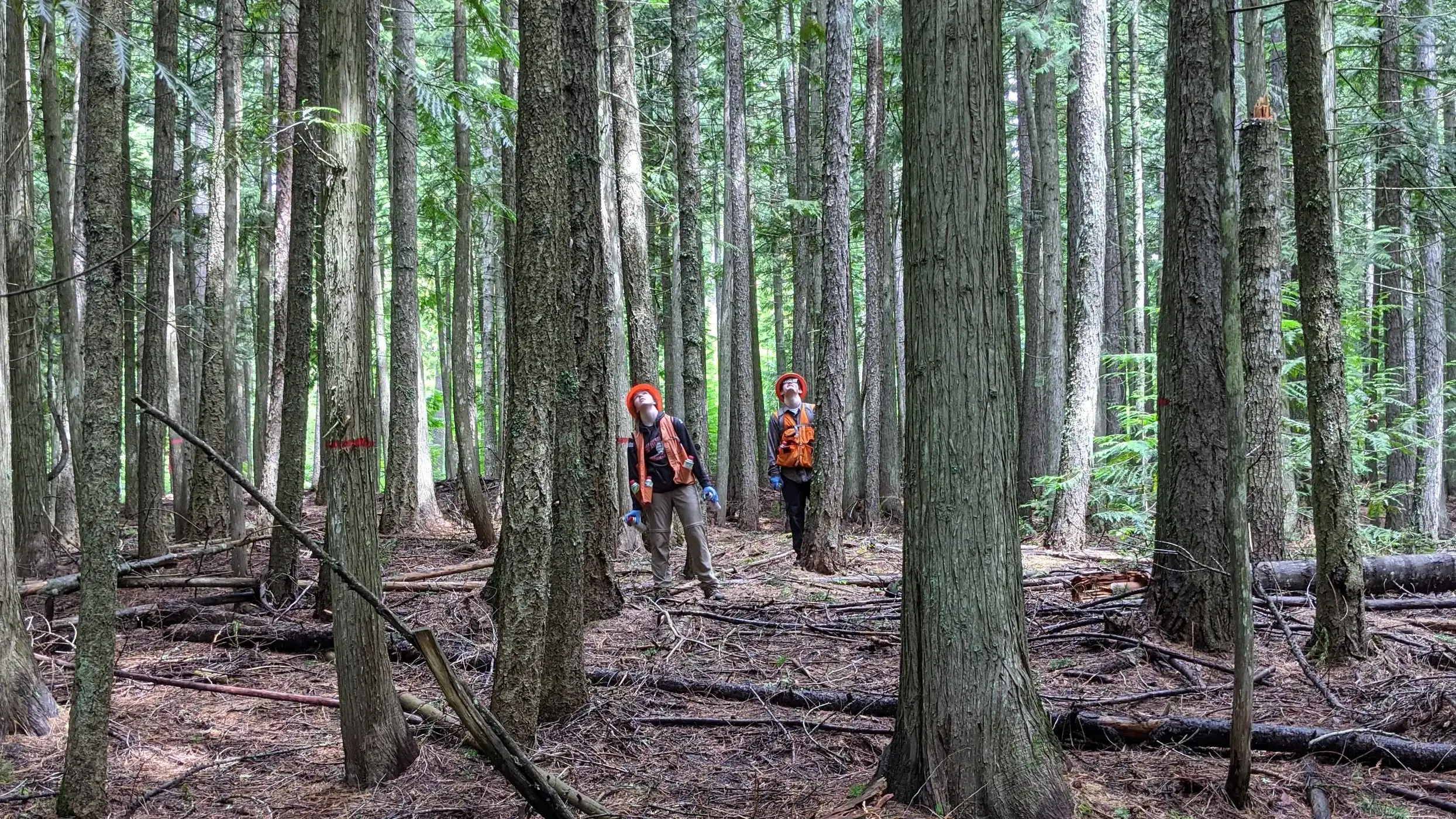 Two people stand in a forest.