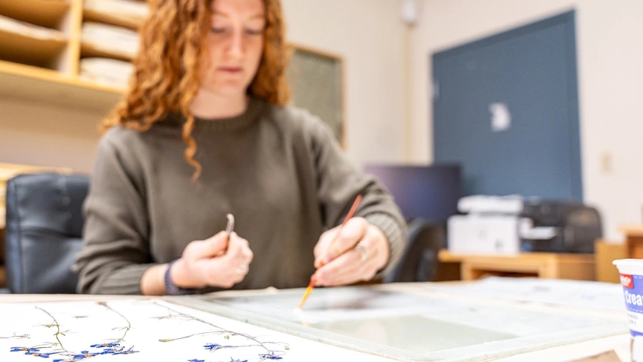 A woman is focused on working with pressed flowers at a table.