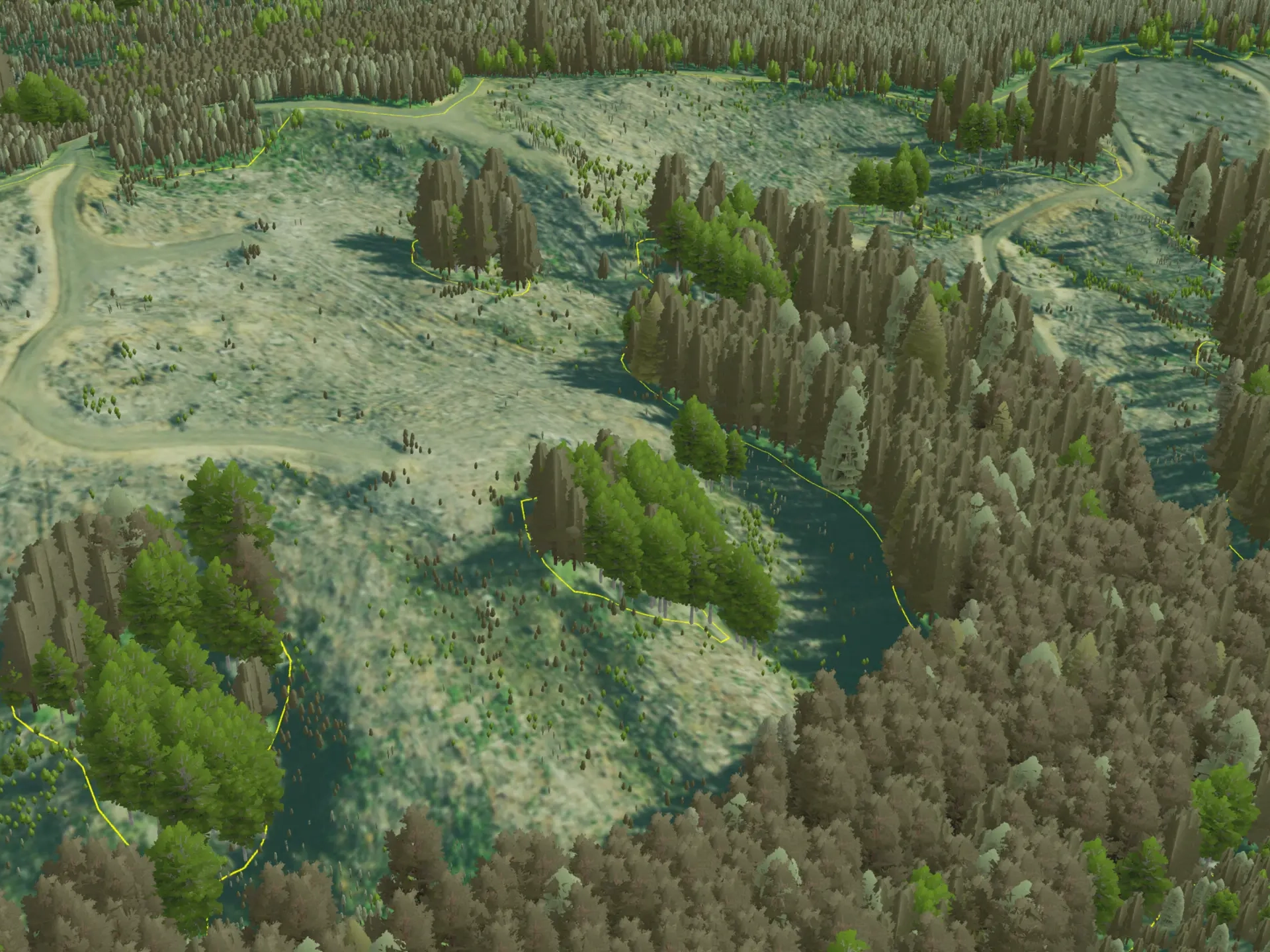 A 3D-map of a forest.
