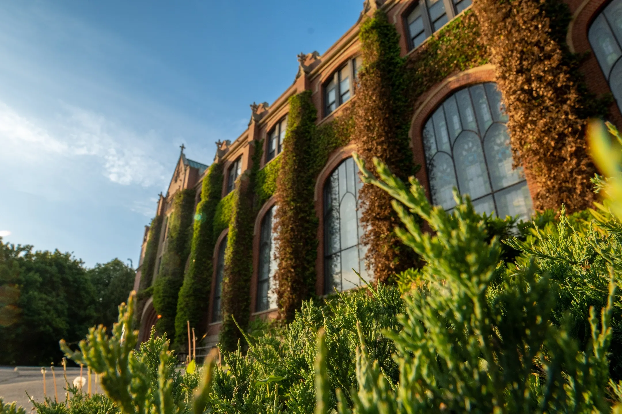 Seasonal campus scenery spring stock.