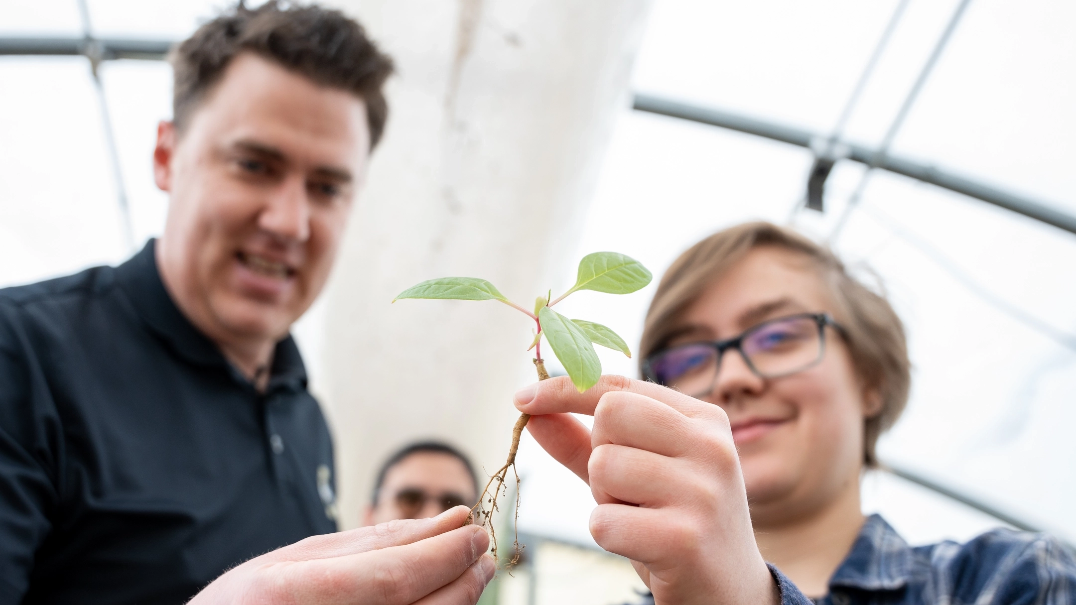 Students look at the roots of a plant used to extract rare earth elements from the soil. 