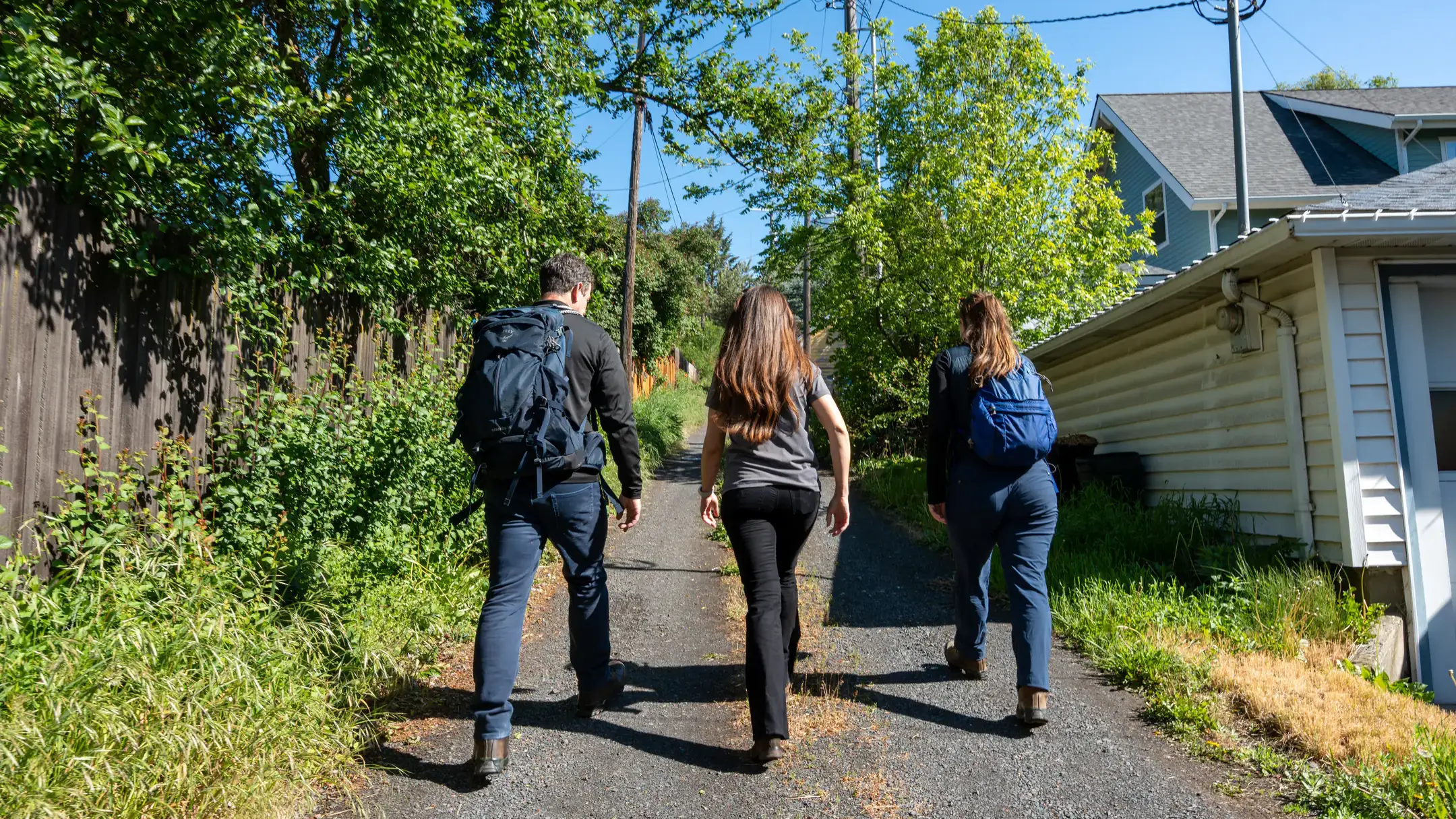 Three people walking down an alley lined with vegetation and houses on a sunny day.