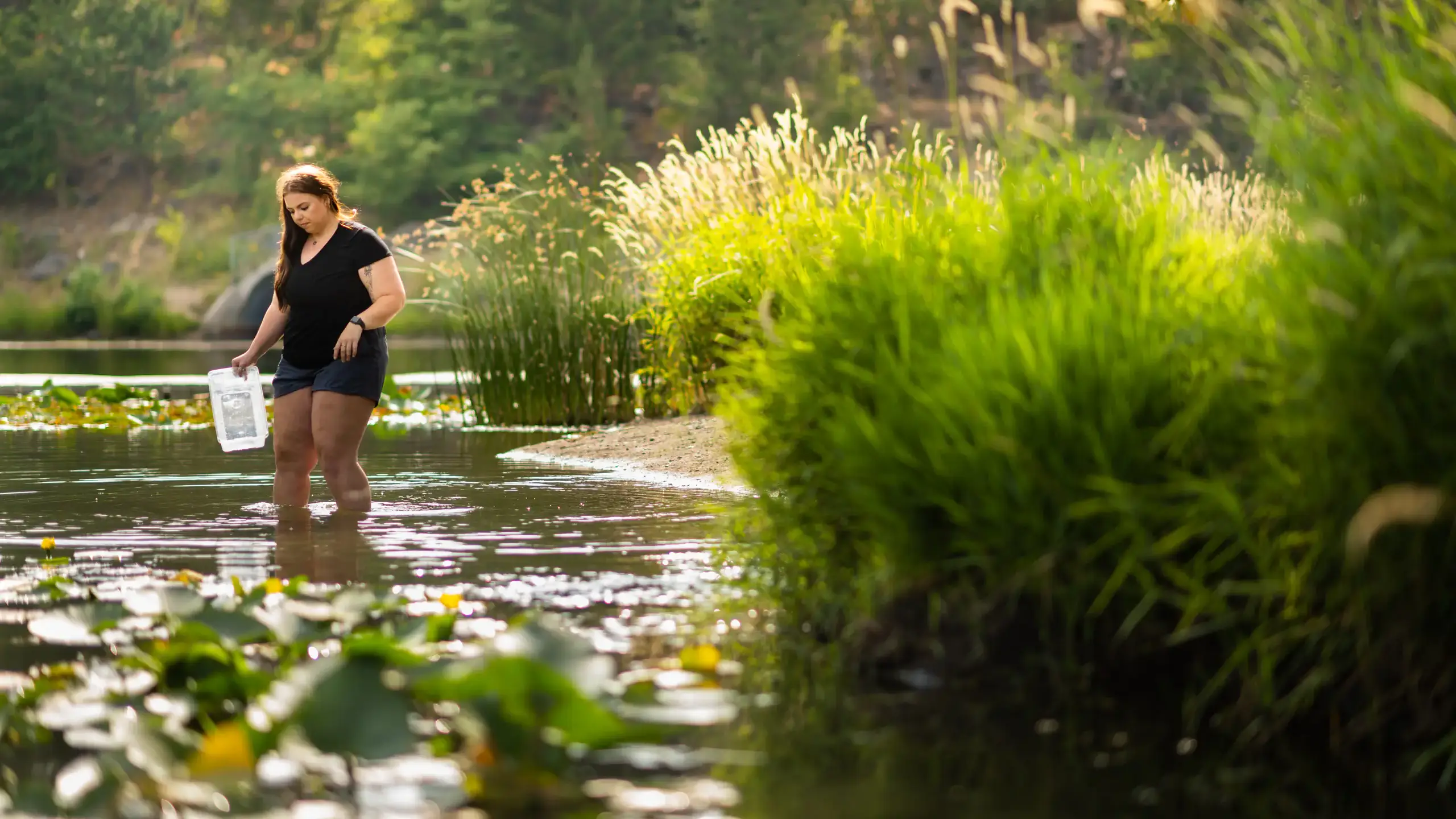 College of Natural Resources Emma Arman MACHINE feature story