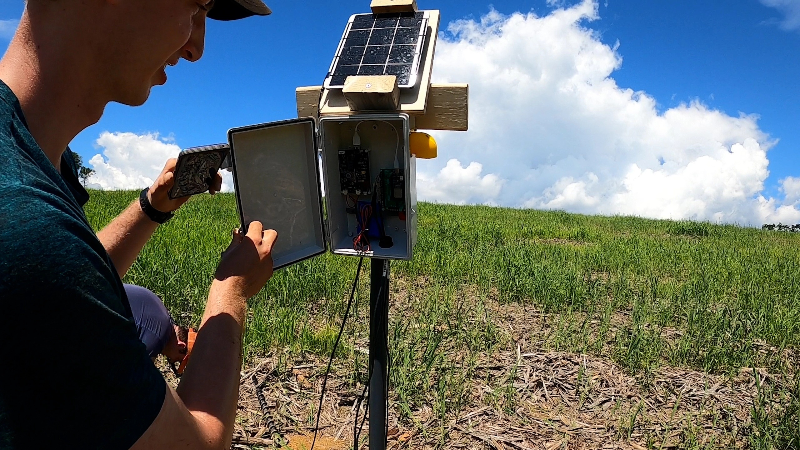 A student opens a box in a field sensor unit in a clearing.