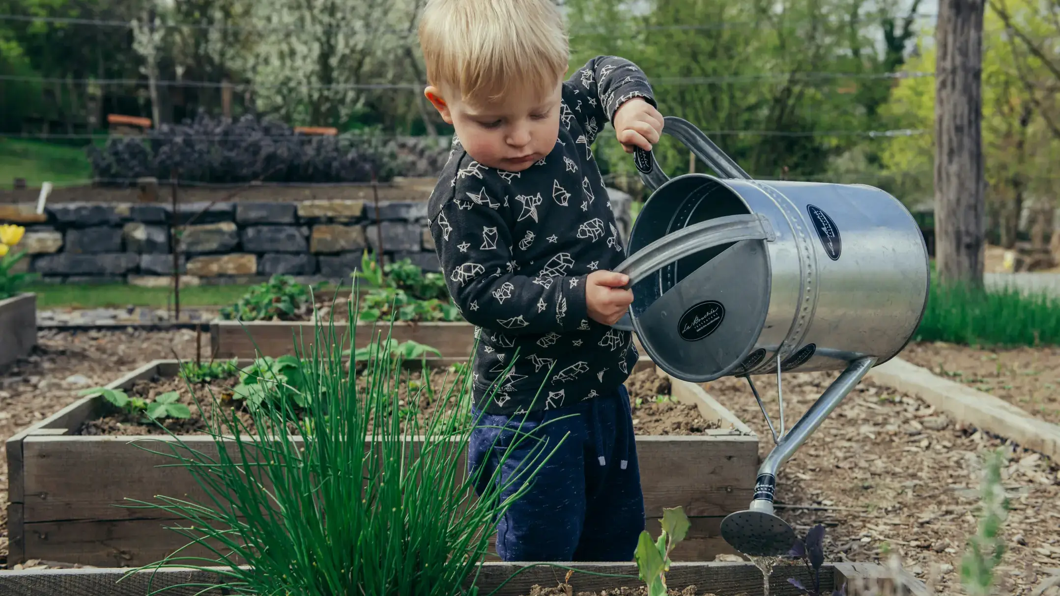 A youth watering a garden