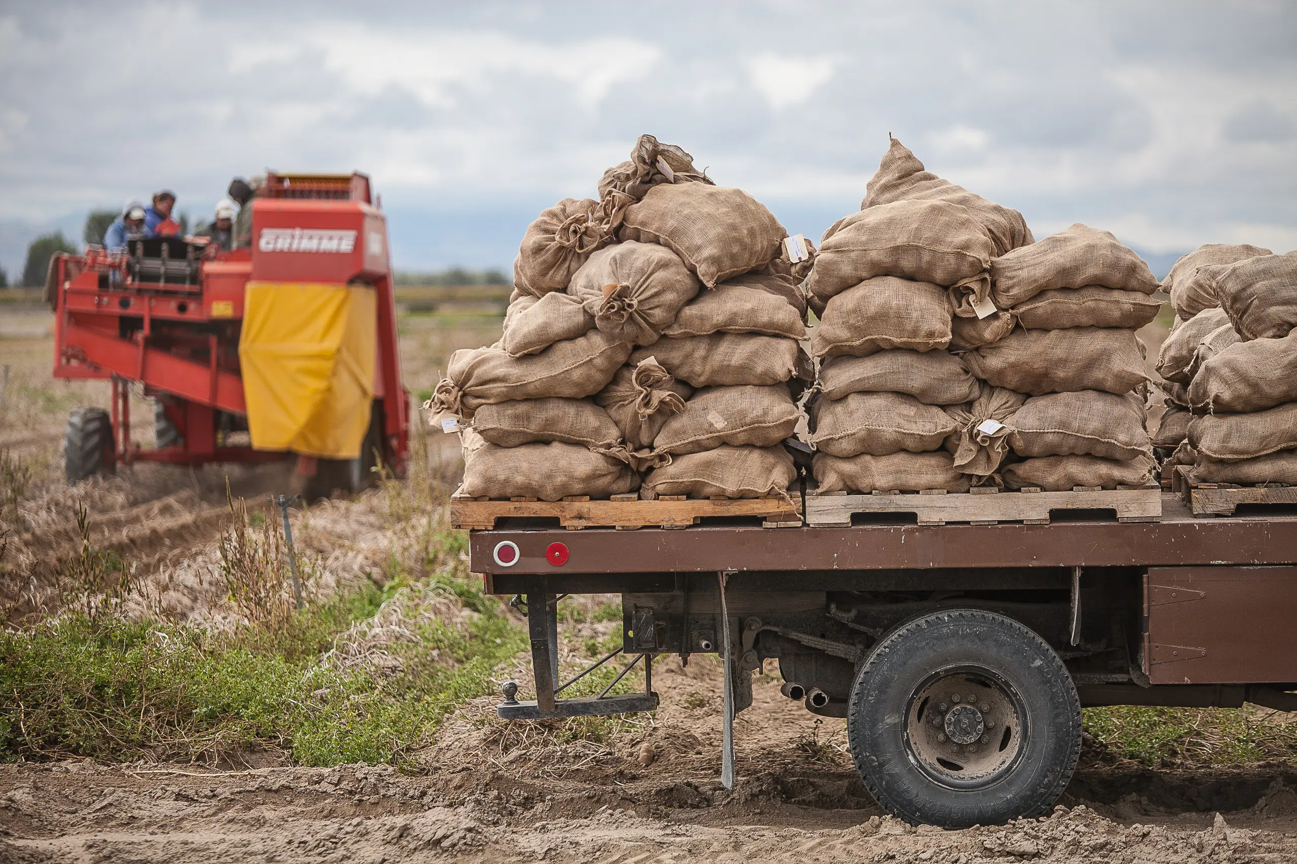 Research and Extension Center photos