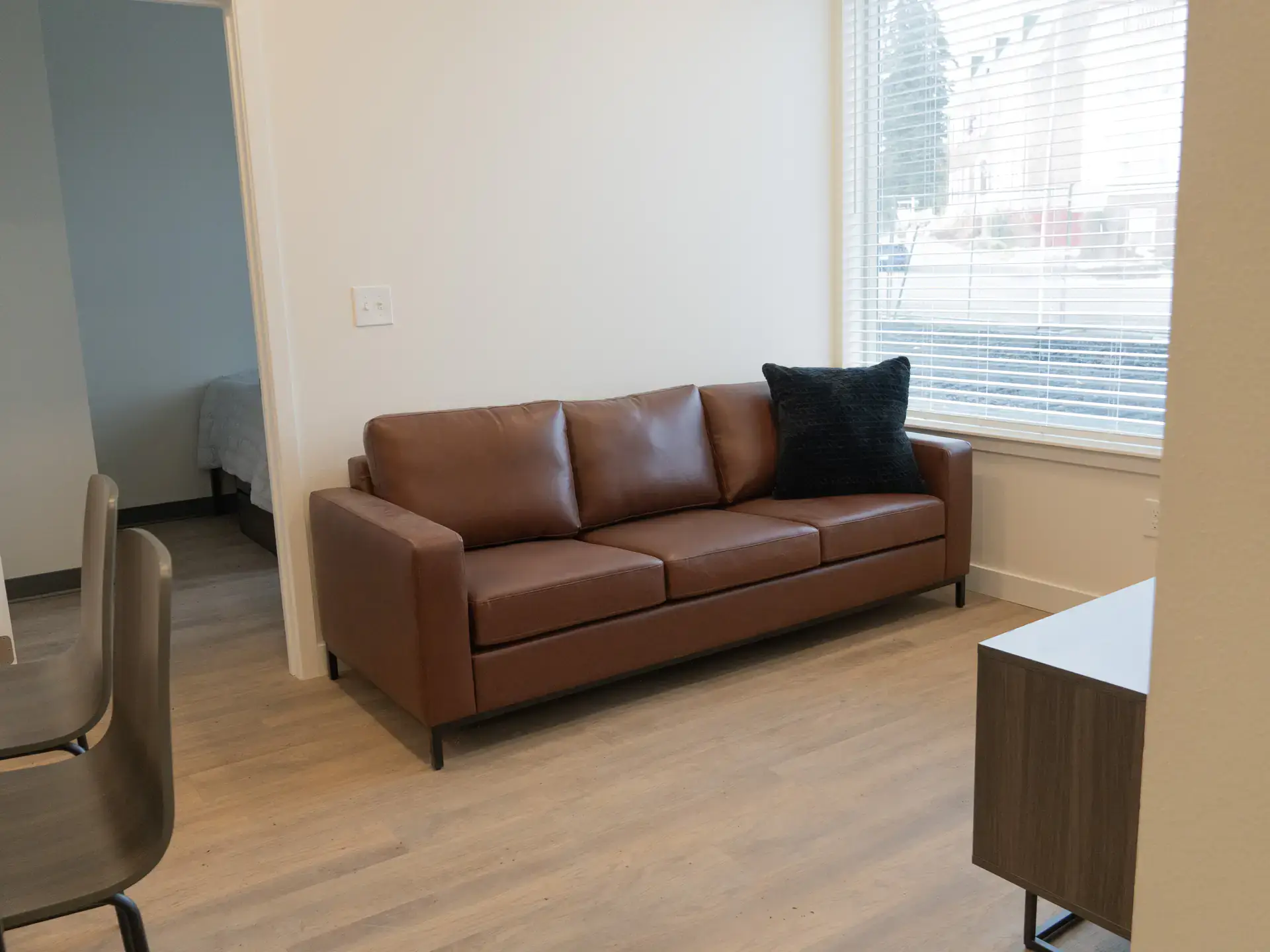 An apartment sized living room with a couch.