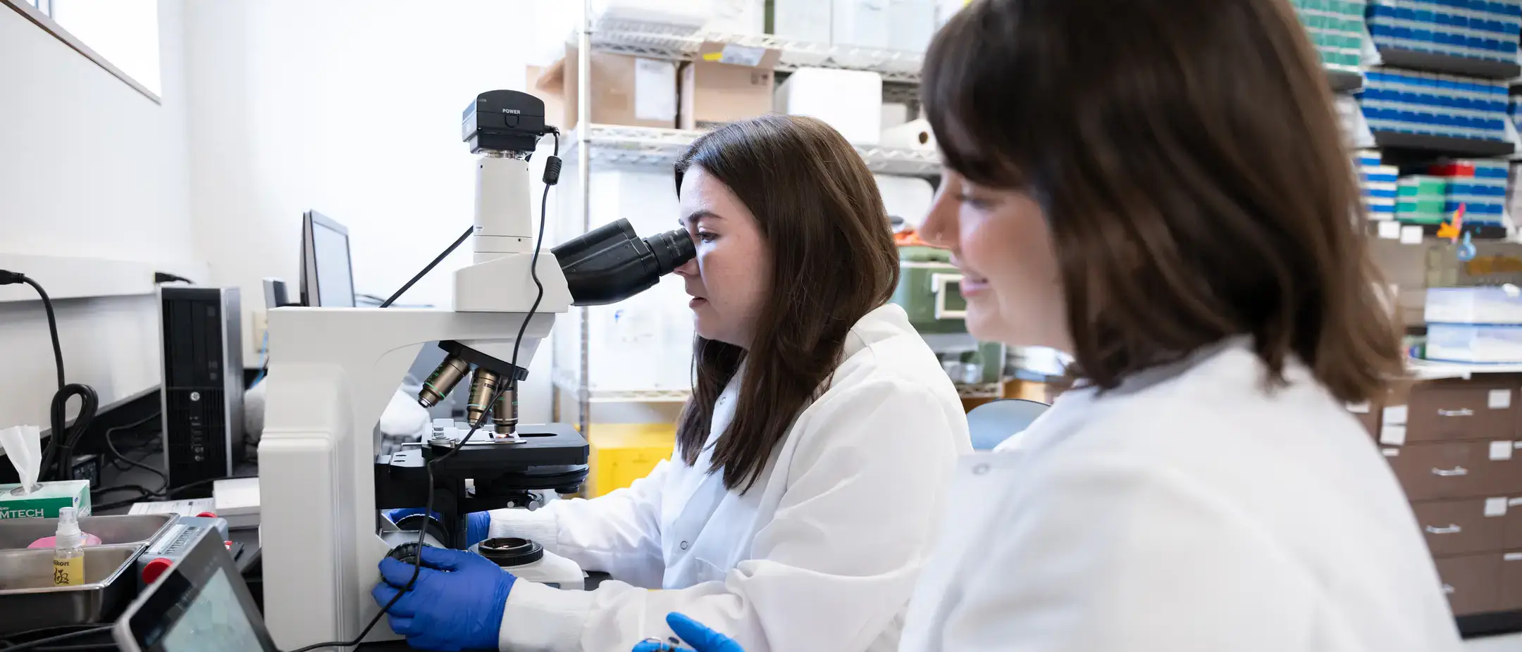 Three undergraduate students working with Professor Shirley Luckhart that have received 2022 University of Idaho USDA research scholarships to study how pathogens, in this case bacteria that cause malaria, can be blocked inside cells.