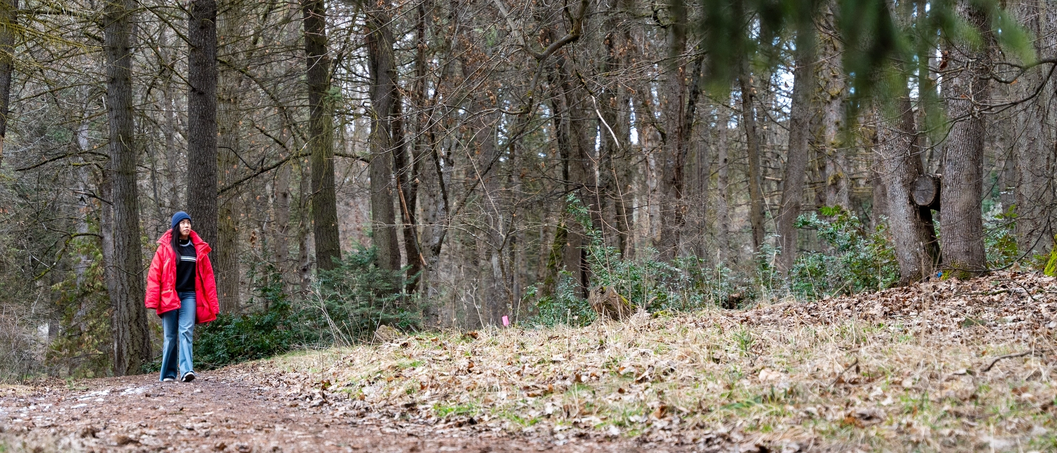Jennifer Yu, a M.F.A. Creative Writing student, is photographed at the Shattuck Arboretum on March 18, 2025. Yu is the author of three novels, including “Grief in the Fourth Dimension”. 
