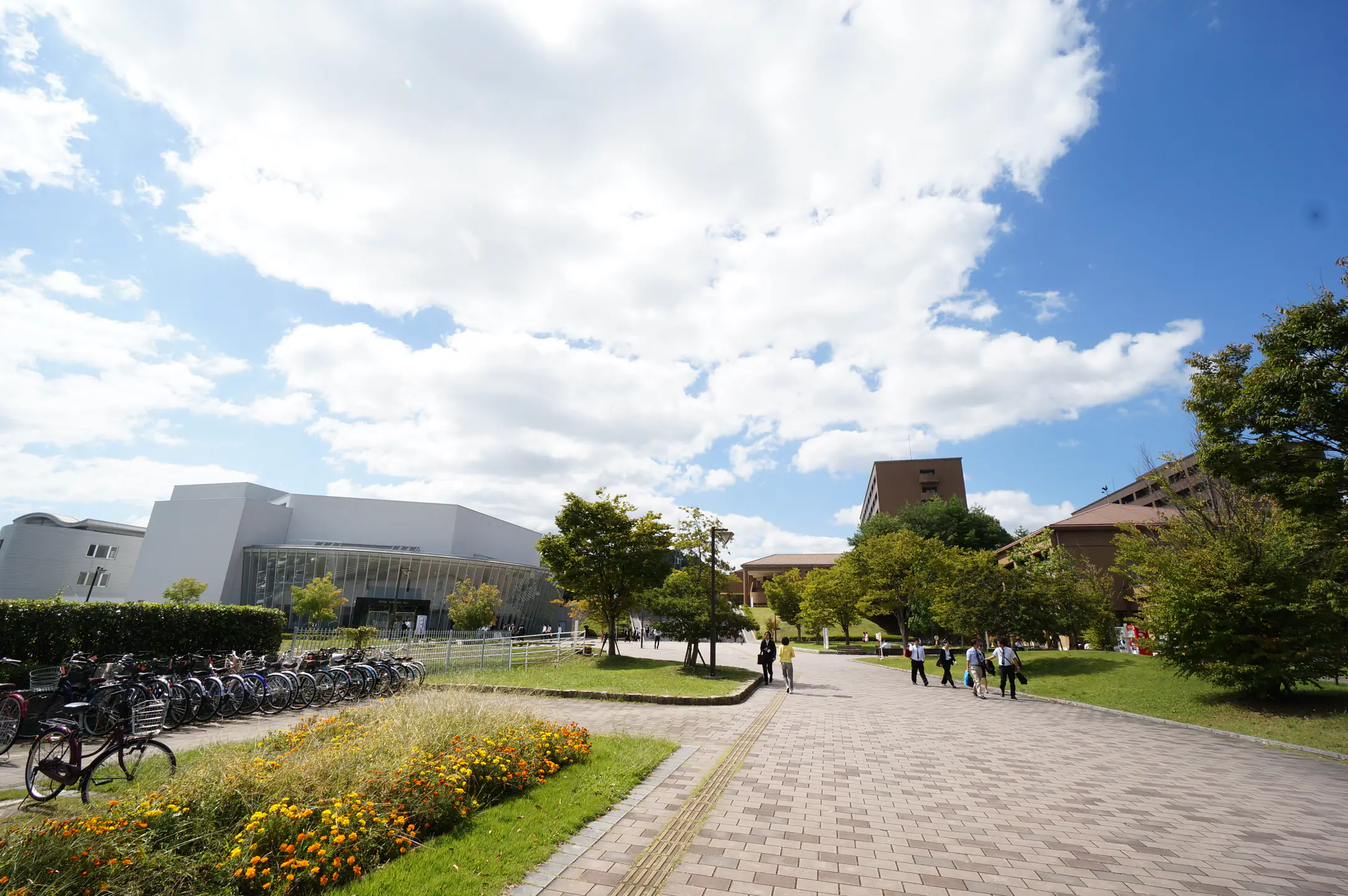 A sunny cobbled walkway through lawn and trees on HU campus. 