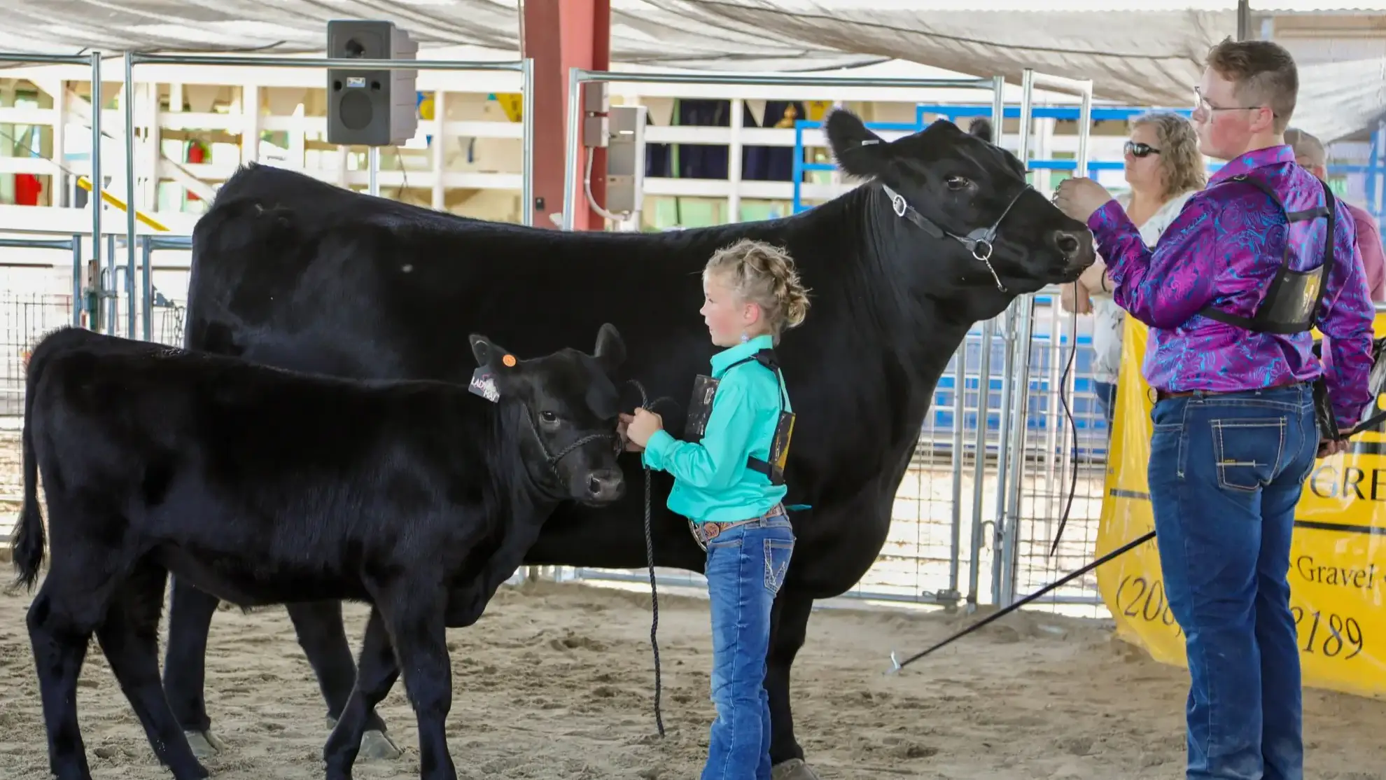 4-H photos and files located in counties